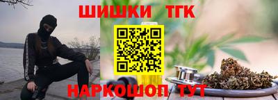 МДПВ Бийск