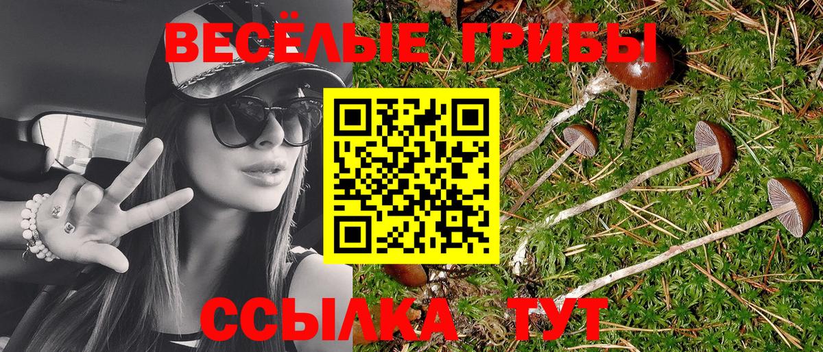 Галлюциногенные грибы Cubensis Ипатово